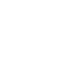 Bento Box Icon White